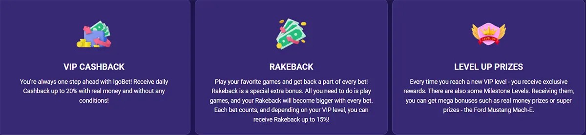 VIP rewards section showing three benefits: daily cashback up to 20%, rakeback up to 15%, and exclusive level-up prizes. Each feature is represented with colorful icons, including cash, banknotes, and a crown badge. The banner highlights the casino’s VIP progression and player rewards.